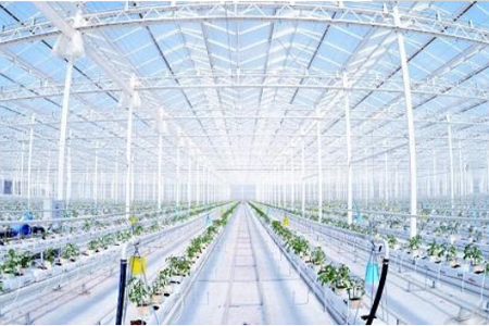 利用物联网技术，补偿传统农业弊端的现代农业，对植株的生长环境需求进行“精确”的定量，对产量进行有效率的制约，对质量更好的把关，农业物联网由感知层、传输层和处理层三部分构成